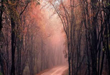 [NBA]主场战胜热火 终结三连败.