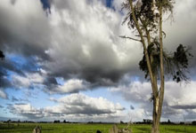 布登：杜兰特将在明天接受核磁共振检查 不会随队参加客场之旅.