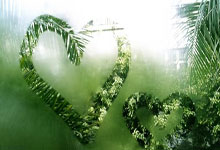 王楚钦3：2战胜林诗栋 2025首战开门红央视新闻客户端.