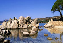 [中超]武磊打破中超单赛季进球纪录.